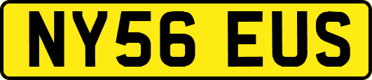 NY56EUS