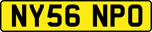 NY56NPO