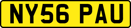 NY56PAU