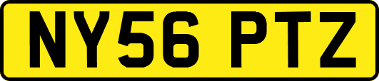 NY56PTZ