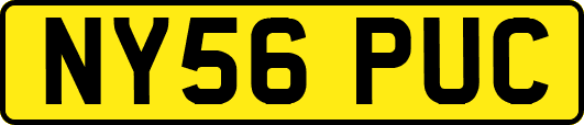 NY56PUC