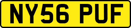 NY56PUF