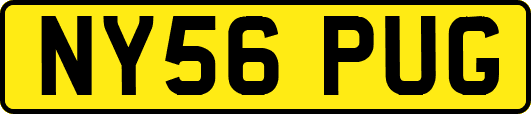 NY56PUG
