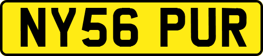 NY56PUR