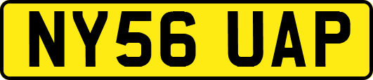 NY56UAP