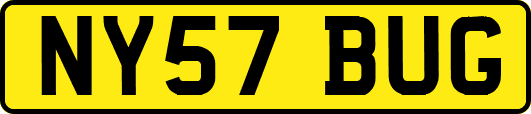NY57BUG