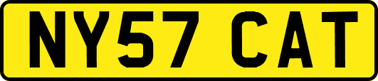 NY57CAT
