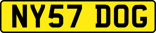 NY57DOG