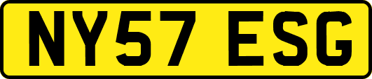 NY57ESG