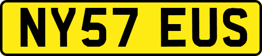 NY57EUS