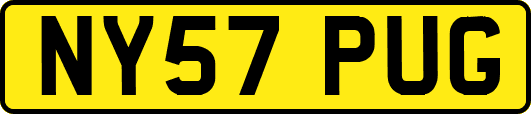 NY57PUG