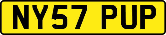 NY57PUP