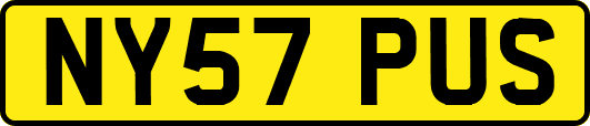 NY57PUS