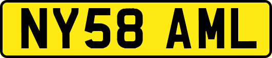 NY58AML
