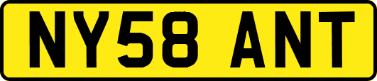 NY58ANT
