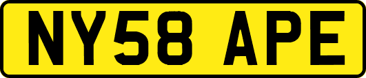 NY58APE