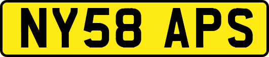 NY58APS