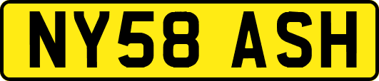 NY58ASH