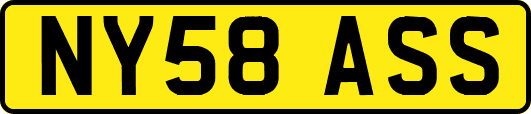 NY58ASS