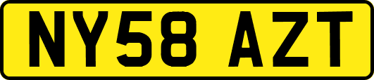 NY58AZT