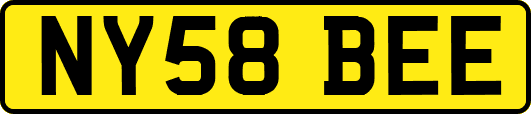 NY58BEE