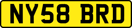 NY58BRD
