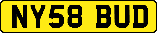 NY58BUD