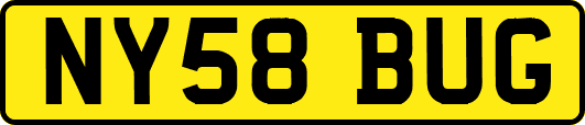 NY58BUG