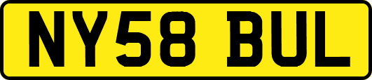 NY58BUL