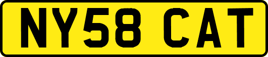 NY58CAT