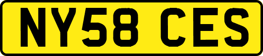 NY58CES