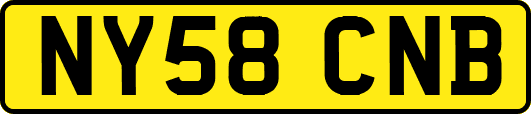 NY58CNB