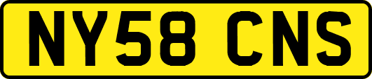 NY58CNS