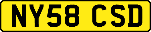 NY58CSD