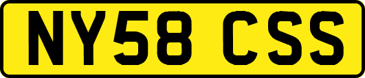 NY58CSS