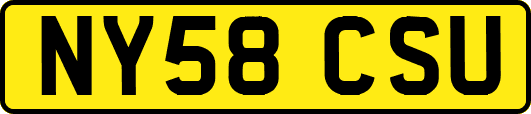 NY58CSU