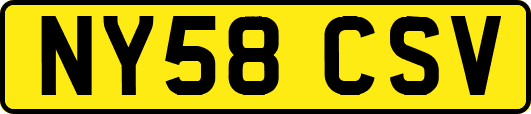 NY58CSV