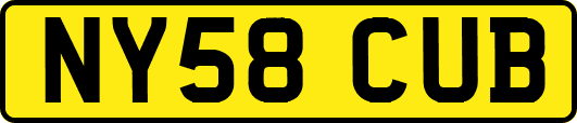 NY58CUB