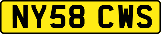NY58CWS