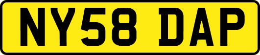 NY58DAP