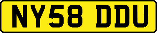 NY58DDU