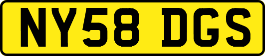 NY58DGS