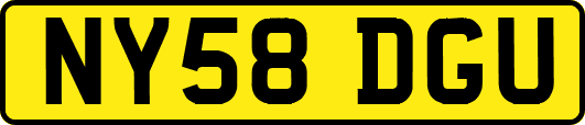 NY58DGU
