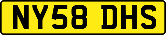 NY58DHS