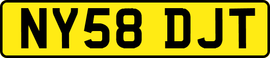 NY58DJT