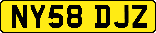 NY58DJZ