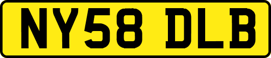 NY58DLB