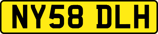 NY58DLH