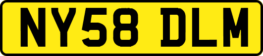 NY58DLM