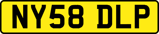 NY58DLP